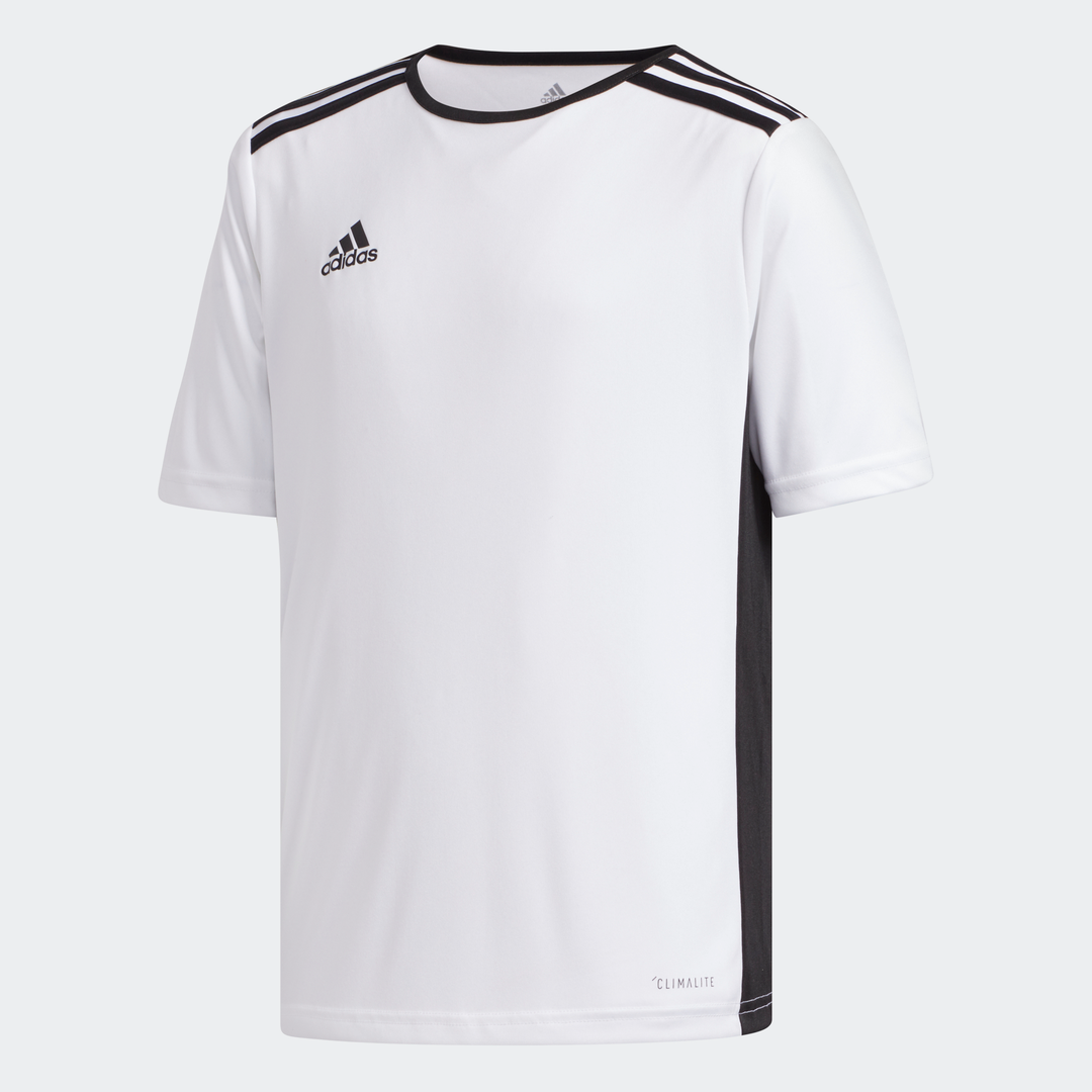 Adidas entrada shop 18 jersey white