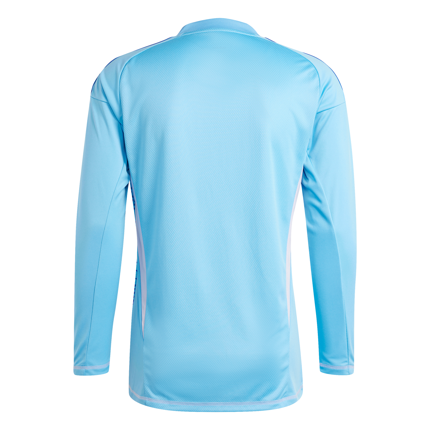 adidas Tiro 24 Competition Goalkeeper Jersey | Blue / Light Purple | Men's
