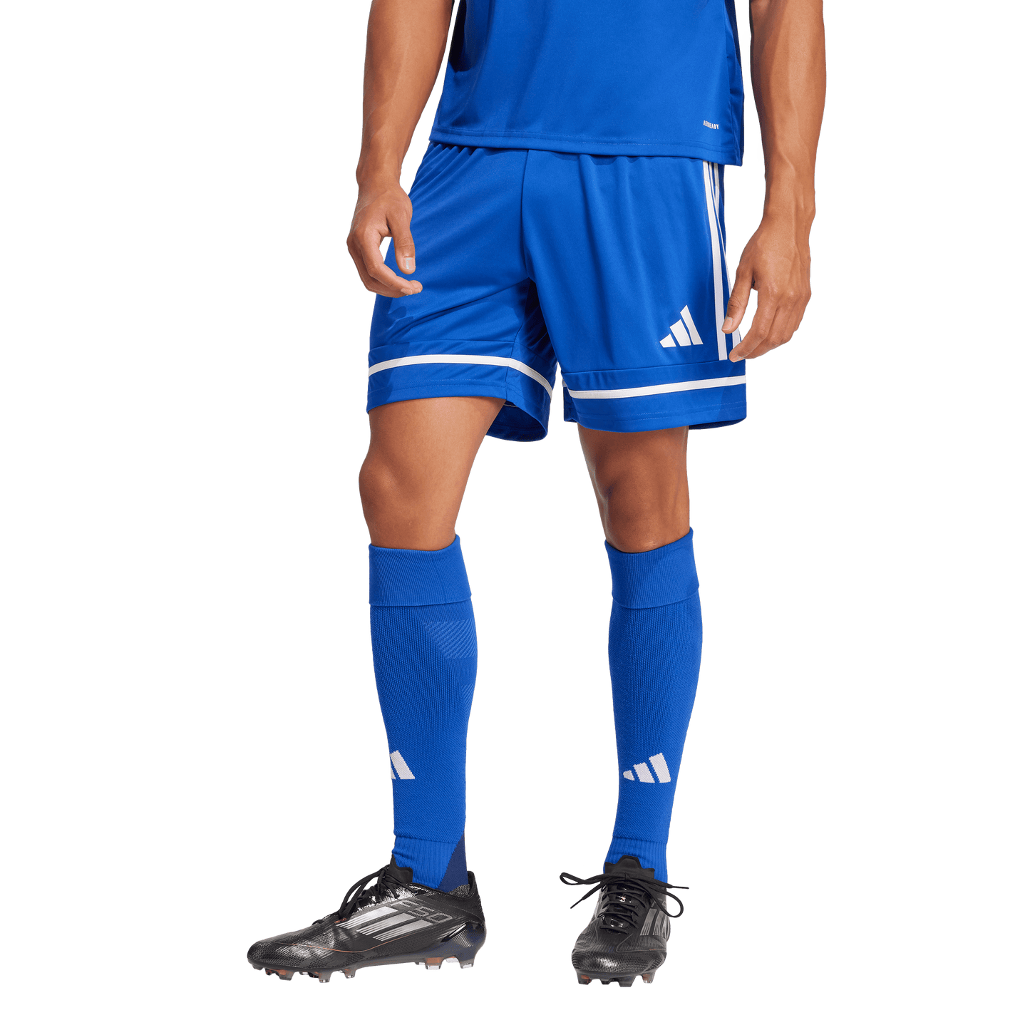 adidas Squadra 25 Shorts | Royal | Men's