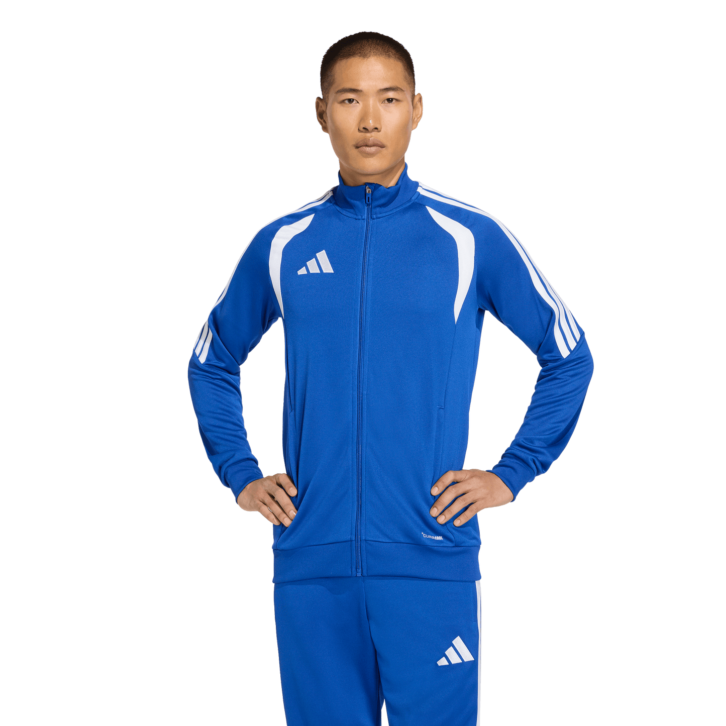 adidas TIRO26L Training Jacket | Royal Blue / White | Men's
