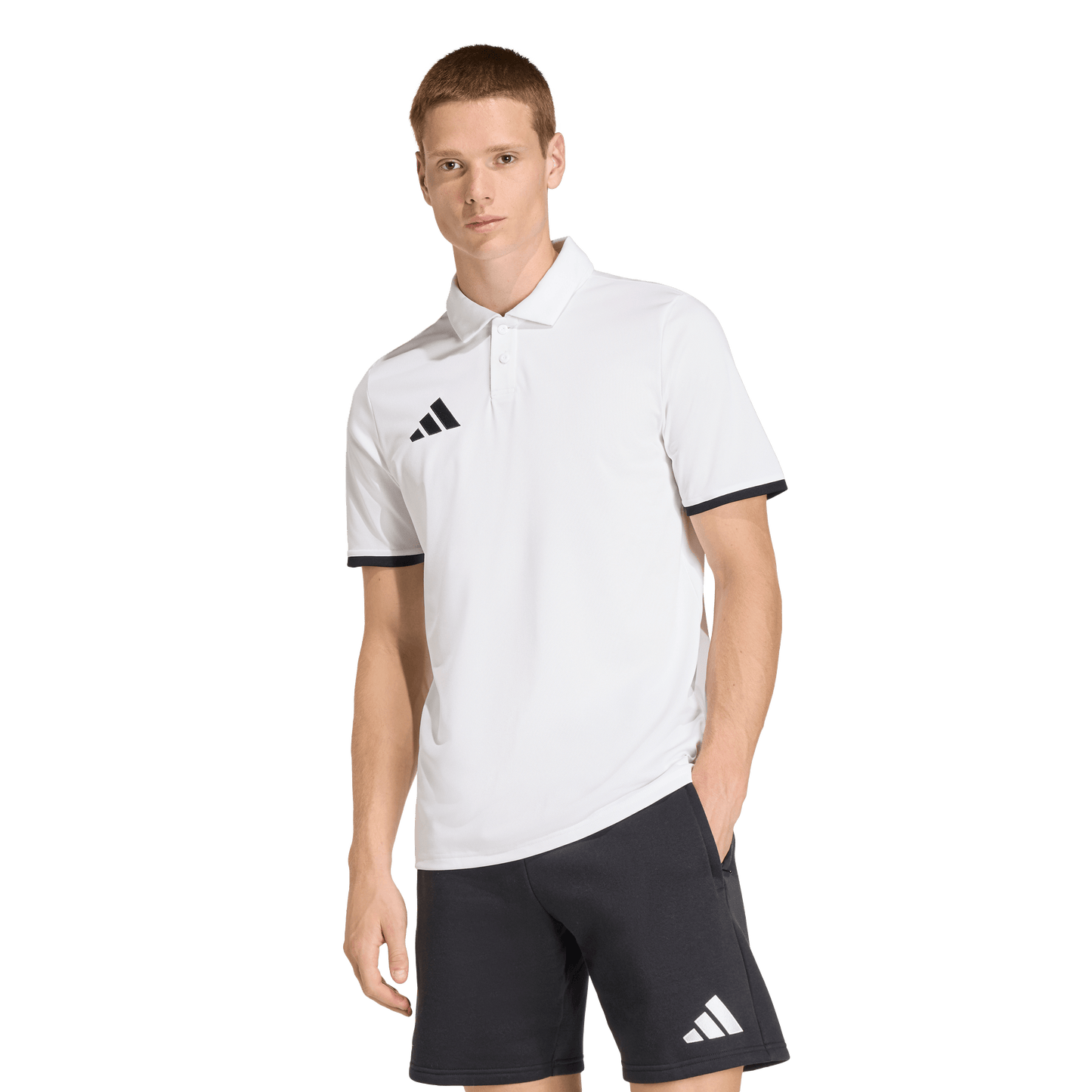 adidas Entrada 26 Polo | White / Black | Men's