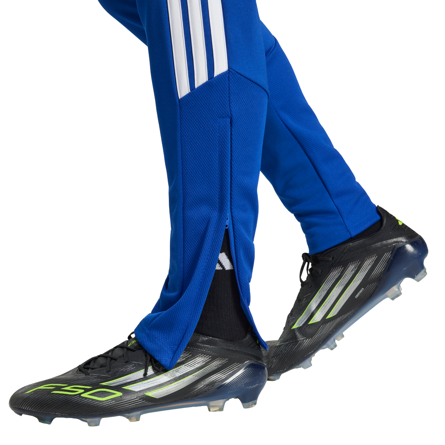 adidas TIRO26L Men's Training Pants | Royal Blue / White | Men's